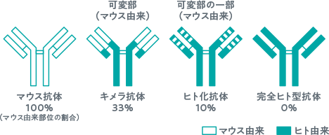 トレムフィア®はヒト型モノクローナル抗体製剤です